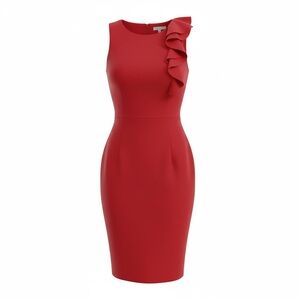 Calvin Klein Women’s Red Dress - 12